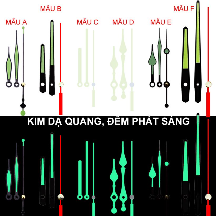 DA QUANG DA QUANG